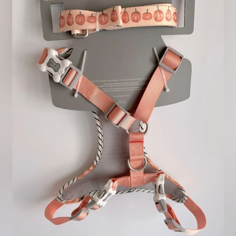 Dog London Harness and Leash Set with Pumpkins Fall Harvest Sydney & Co. Sz‎ L